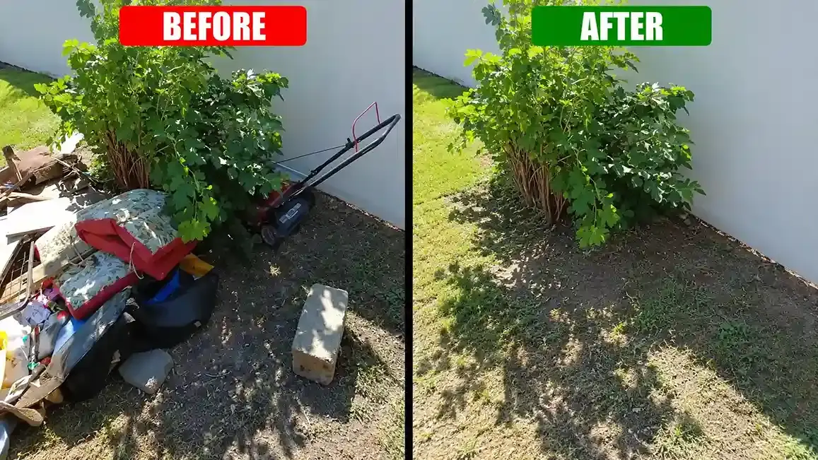 Villa yard before and after garden waste removal in Dubai, junk cleared beside a bush